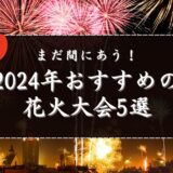 まだ間に合う！2024年おすすめ花火大会