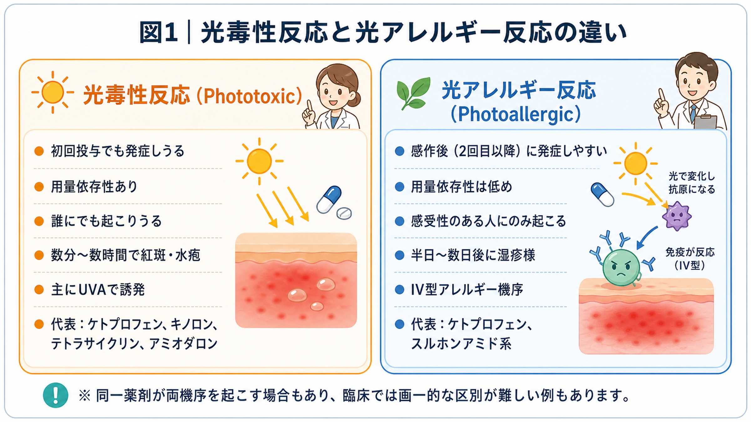 光毒性反応と光アレルギー反応の違い